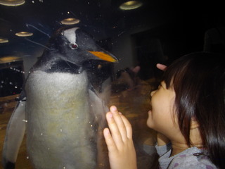 IMGP0425.JPG