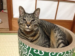 image0.jpeg