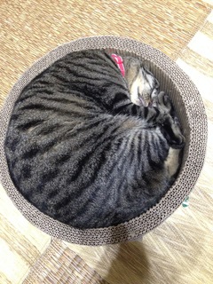 image9.jpeg